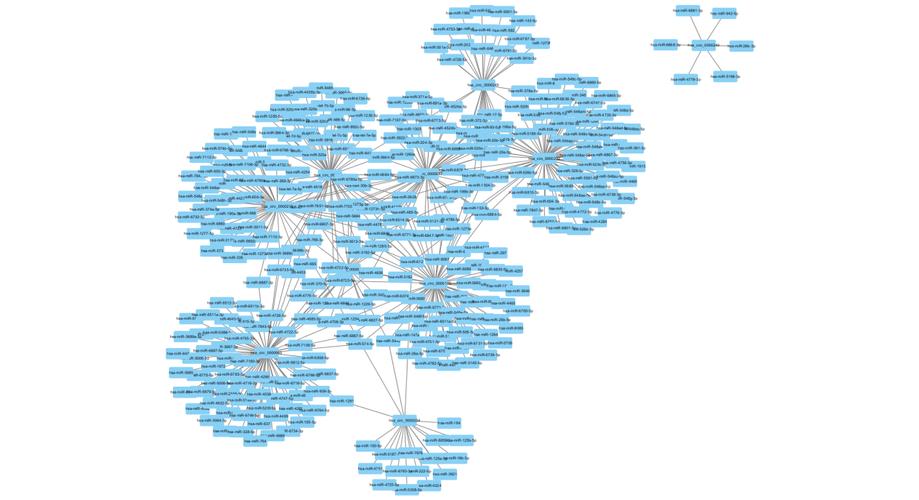 如何利用cytoscape画互作网络图 – circrna论坛